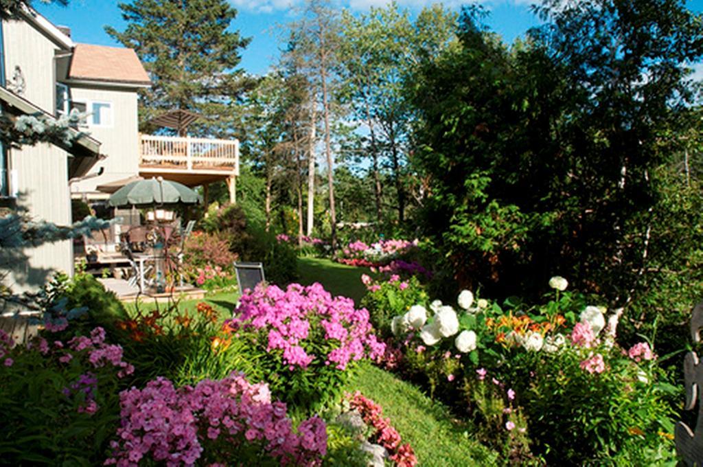 Gîte Au Pied Du Courant Mont-Laurier Exterior foto