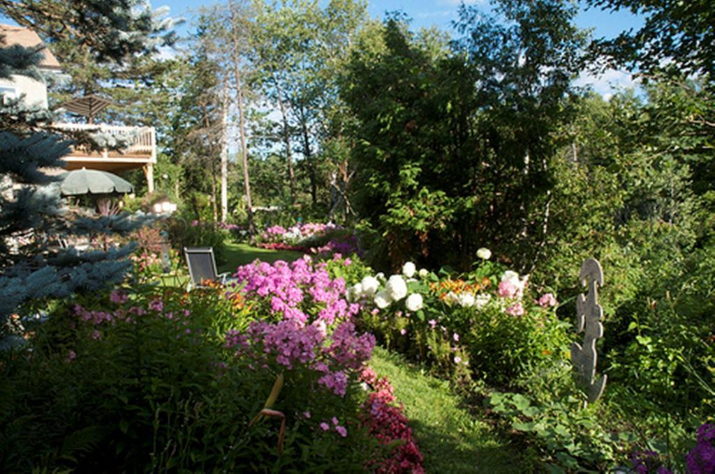 Gîte Au Pied Du Courant Mont-Laurier Exterior foto